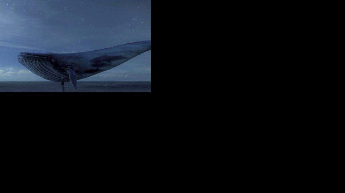 Imagen de una ballena azul que circula por las redes en referencia al juego. 