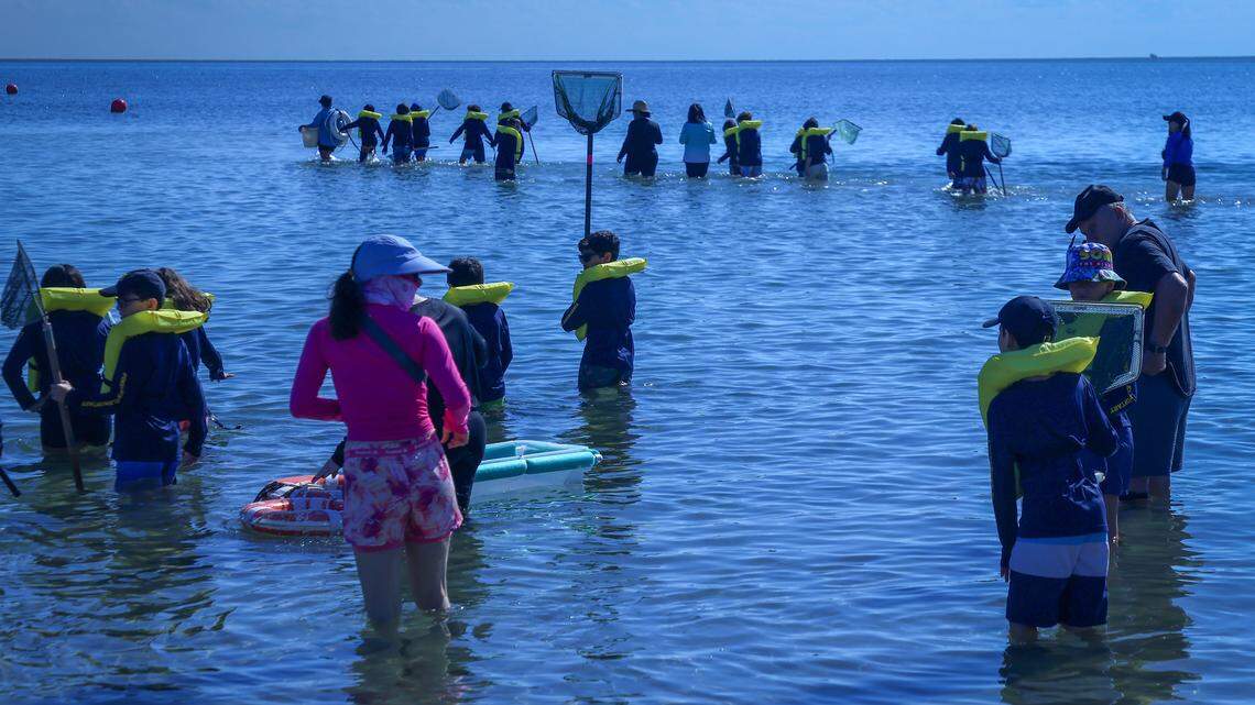 Miles de estudiantes de Miami visitan el Centro Natural Marjory Stoneman Douglas Biscayne. Ahora su futuro es incierto