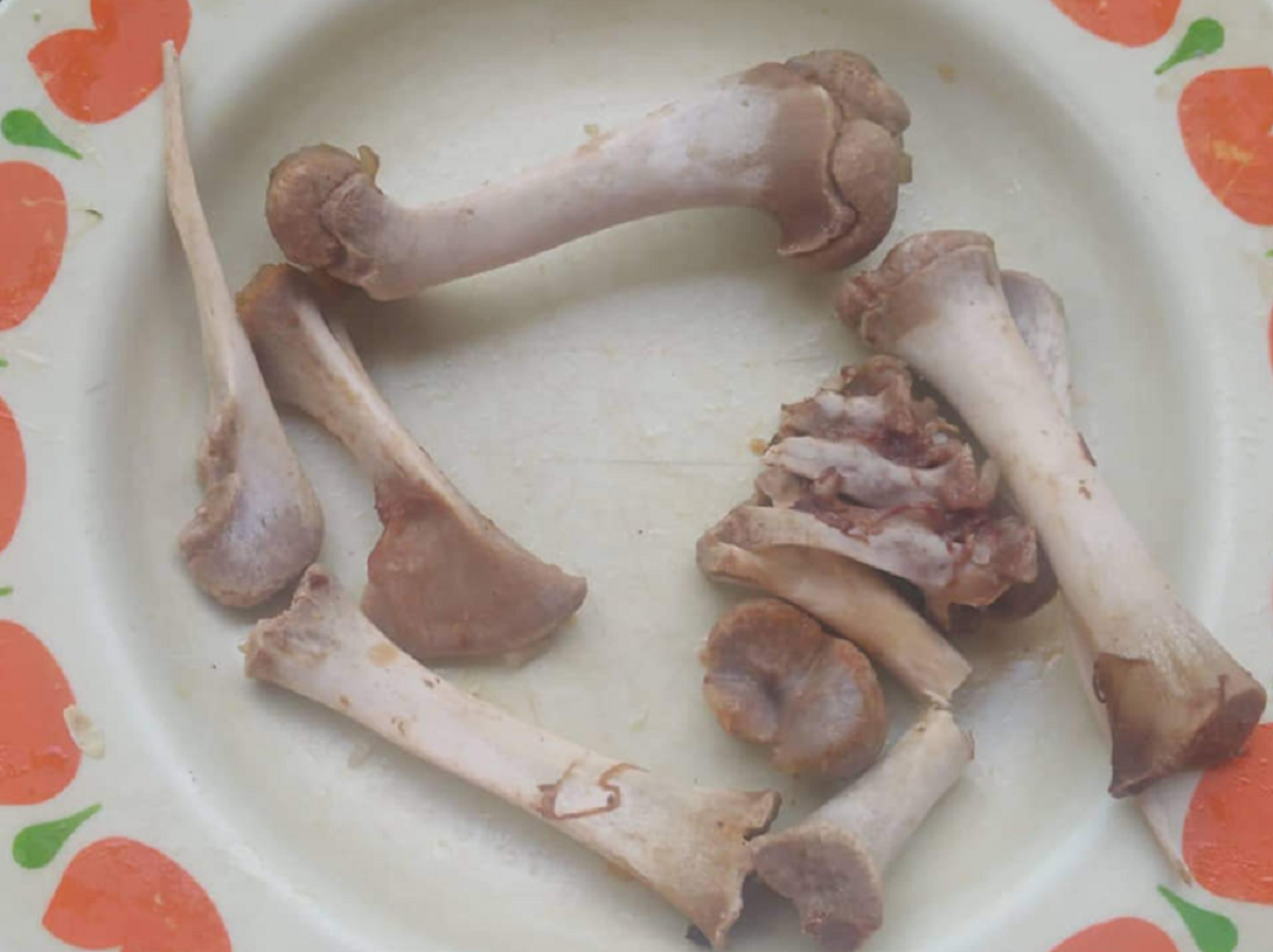 Los huesos del presunto perro vendido como carnero están en refrigeración a la espera de un examen del Minsap.