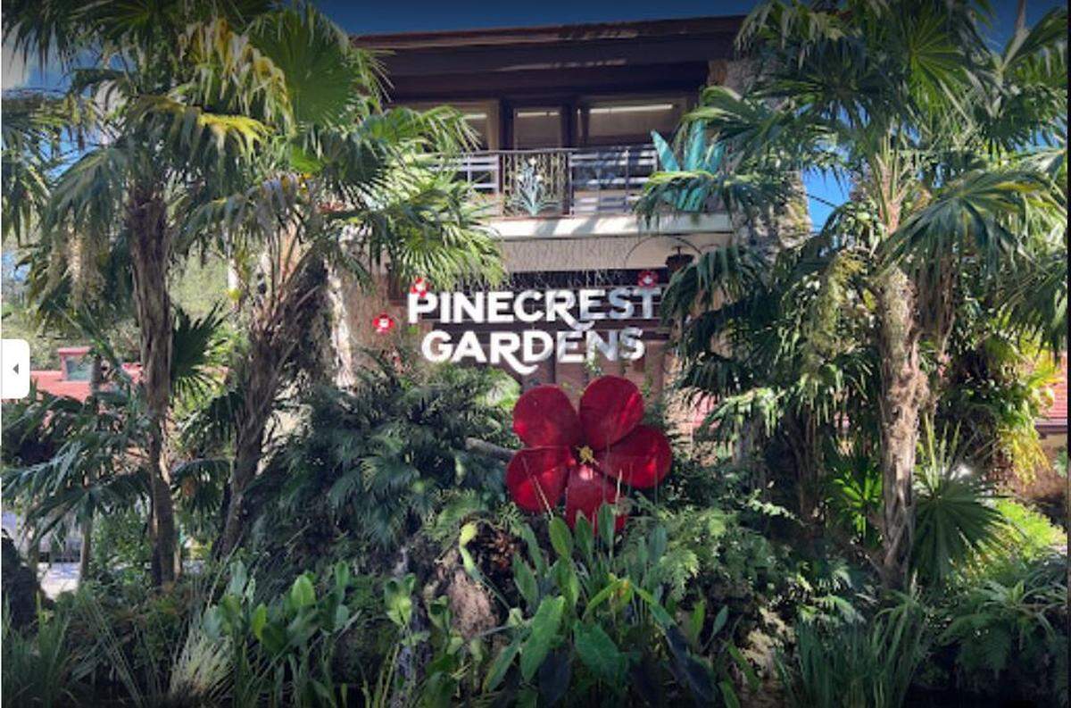 Pinecrest Gardens presenta una encantadora alineación de otoño.