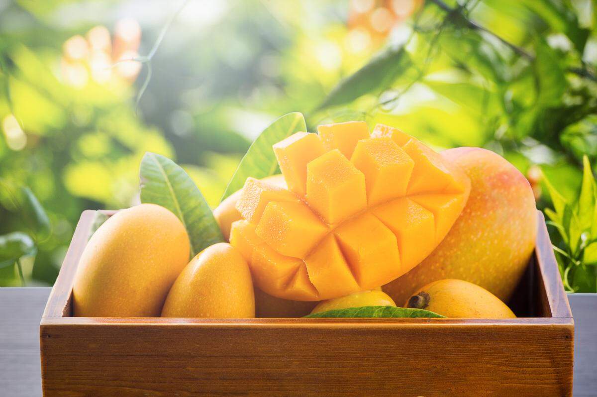 No faltarán vendedores de la fruta al natural y de las mil maneras de consumirlo.
