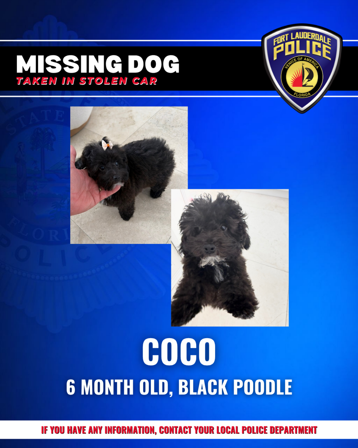 La policía de Fort Lauderdale había solicitado ayuda al público para localizar un vehículo robado con un perro en su interior.