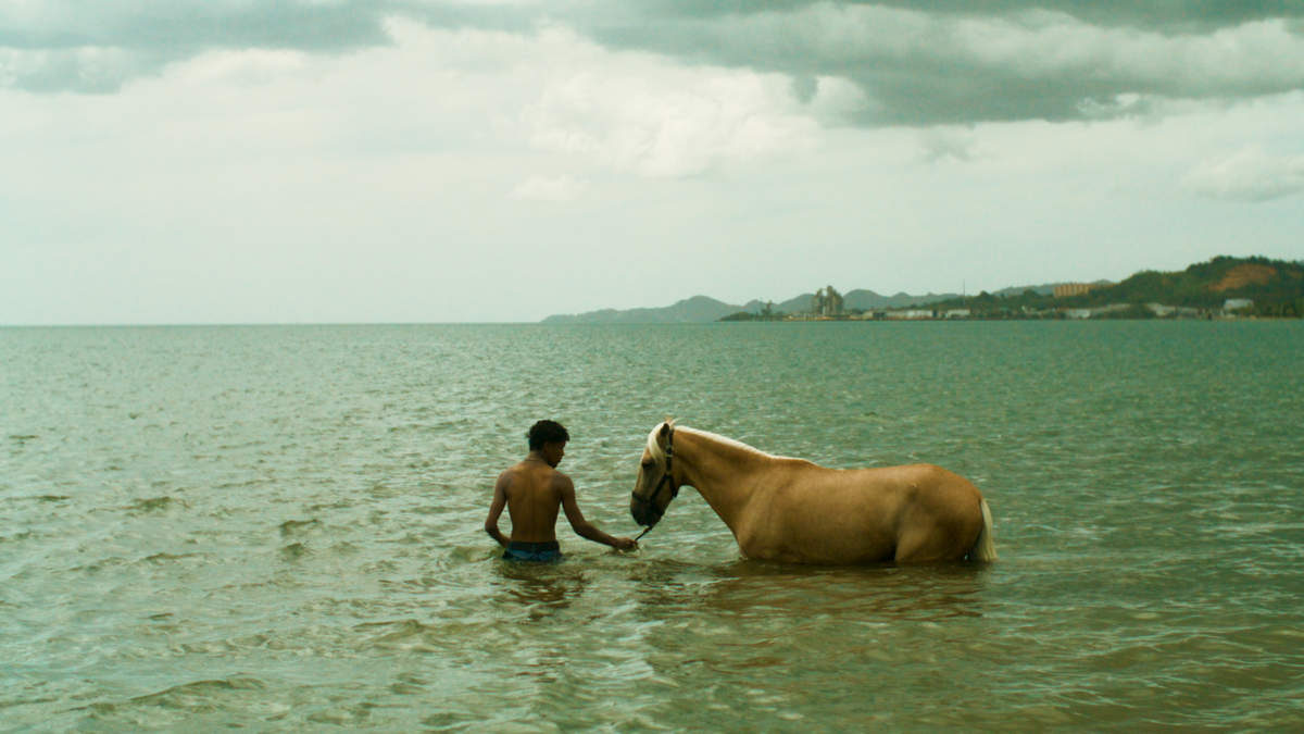 ‘Esta Isla’ ha sido galardonada como la mejor película (en Film Independent Spirit Award) realizada con un presupuesto inferior a un millón de dólares.