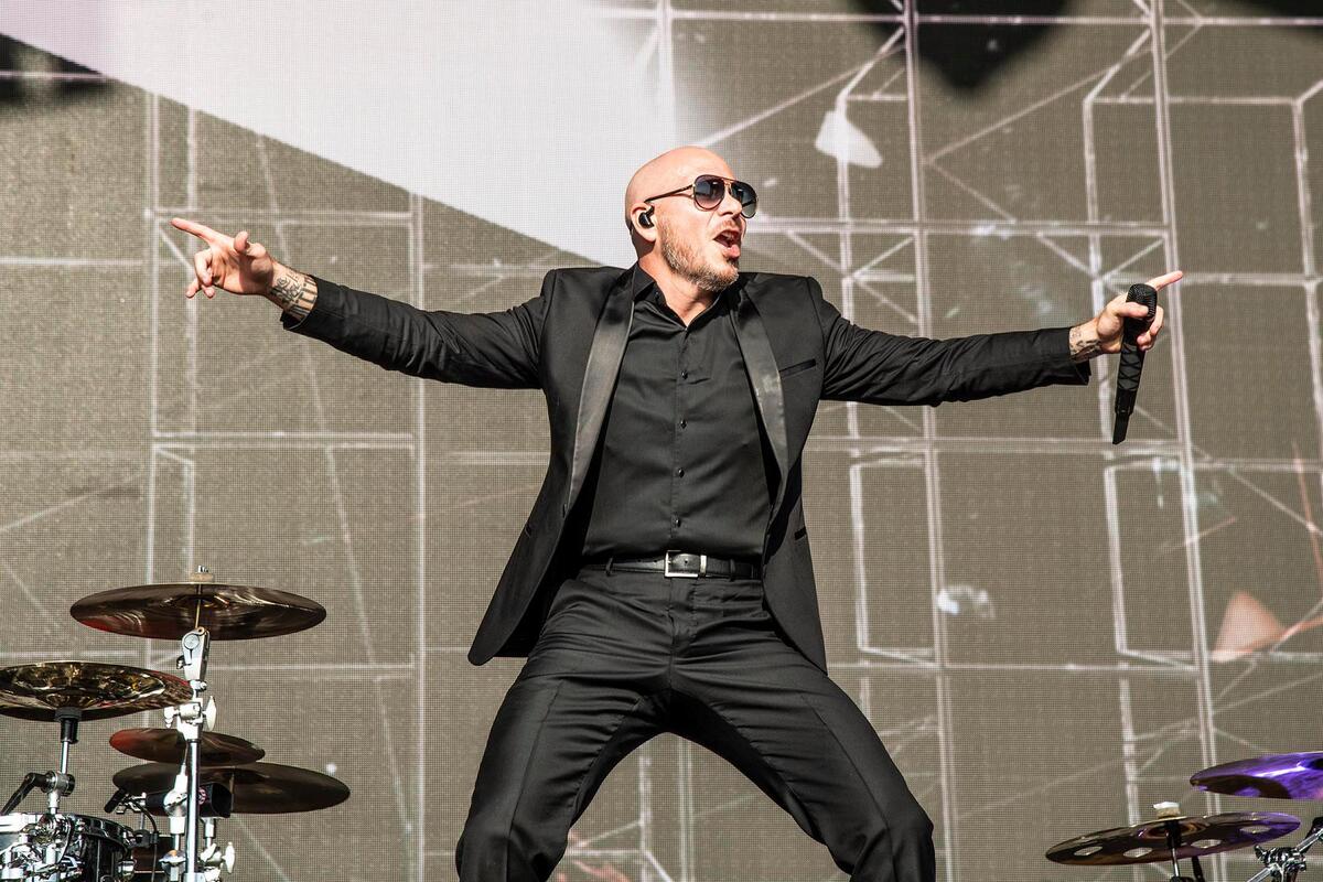 Pitbull