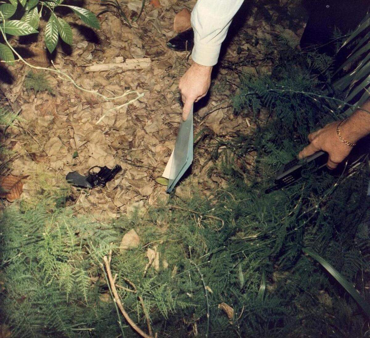 El arma homicida del asesinato de Stanley Cohen fue encontrada entre los arbustos de la propiedad de Stanley y Joyce Cohen, en su casa de South Bayshore Drive, Coconut Grove.