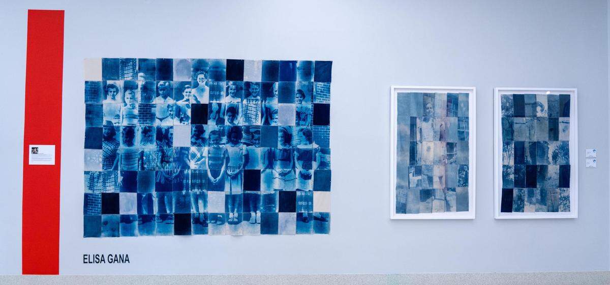 Obras en sala de Elisa Gana.