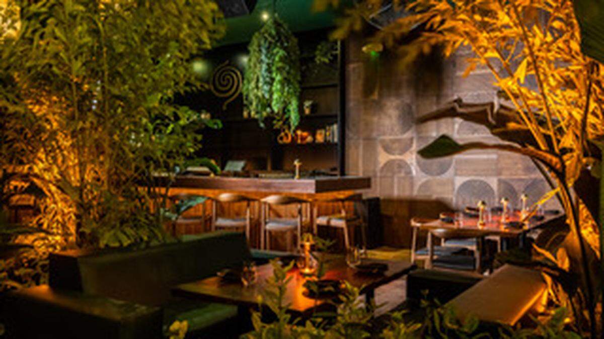 BÂOLI transformará su local en un bosque mágico encantado el viernes 27 de octubre.