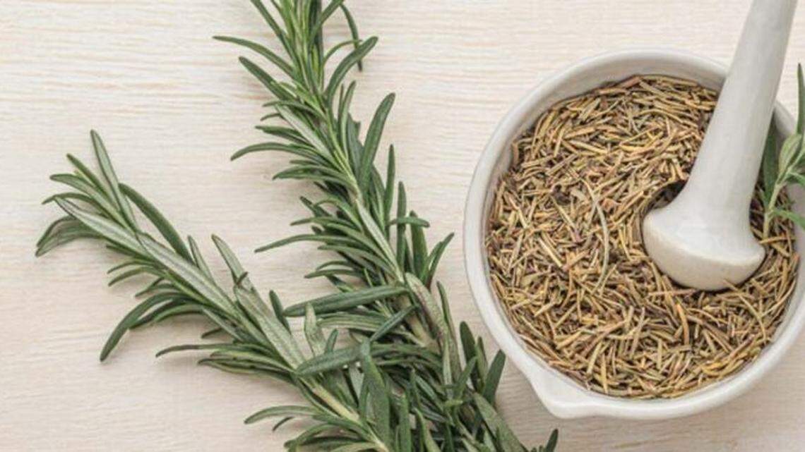 El regreso del tomillo: las hierbas que cuidan la tierra… y nuestra salud