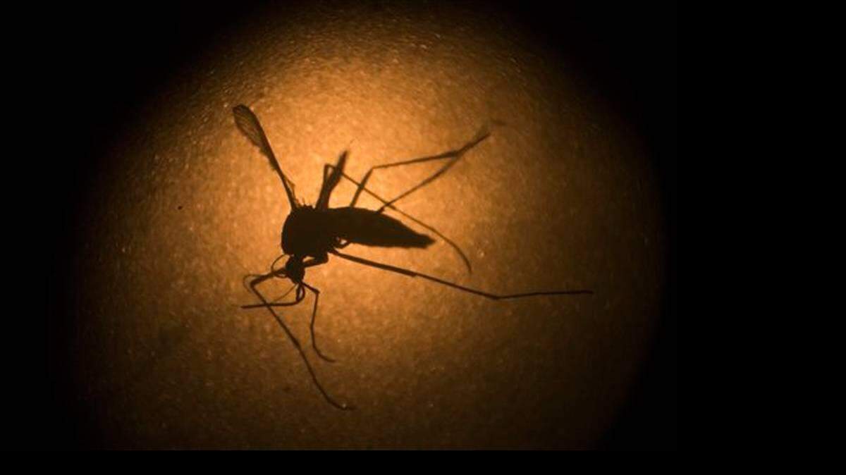 Puerto Rico reportó el viernes el primer caso de un bebé nacido con microcefalia en la isla como resultado de una infección del virus del zika, lo que ha causado preocupación, dado que los funcionarios revelaron que la afección médica no fue detectada sino hasta que la madre tenía cerca de ocho meses de embarazo.
