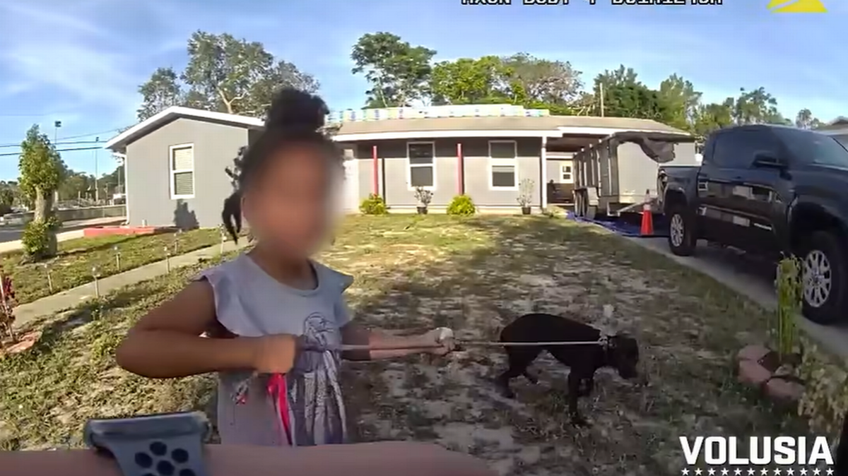 Tras una investigación se pudo saber que la niña avistada sola mientras vagaba por un vecindario de la Florida con su perro, había sido abandonada por su madre, según la policía. 