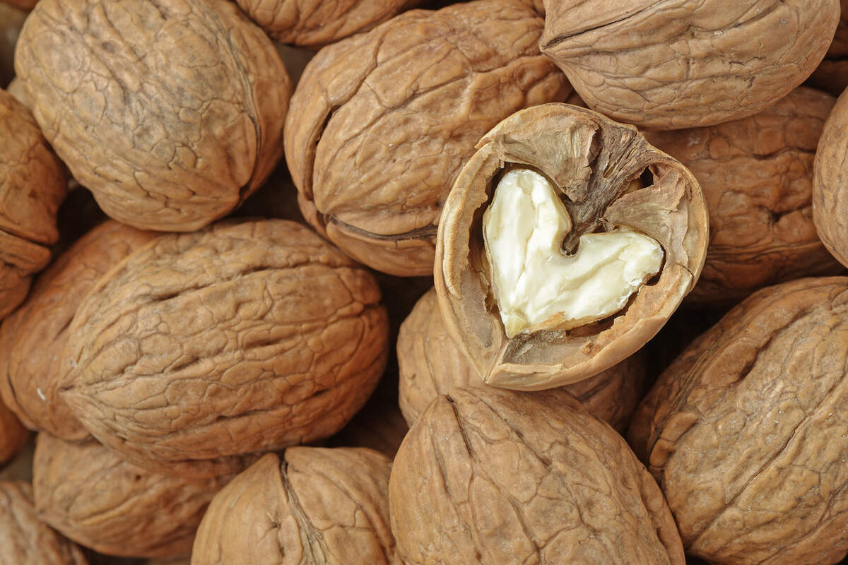 Son saludables las nueces, frijoles, semillas, frutas, vegetales, y poca cantidad de proteína animal o alimentos procesados, grasas saturadas, azúcares agregadas y sodio.