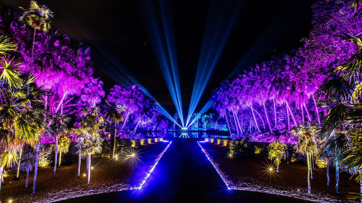 El Fairchild Tropical Botanic Garden celebra cada año el original espectáculo de luces “Night Garden” en la temporada de invierno.