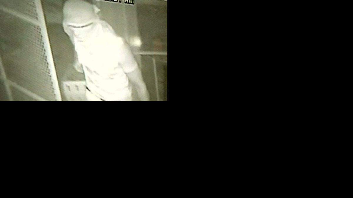 Un video de vigilancia captó el momento en que dos hombres se llevan a los valiosos pájaros.