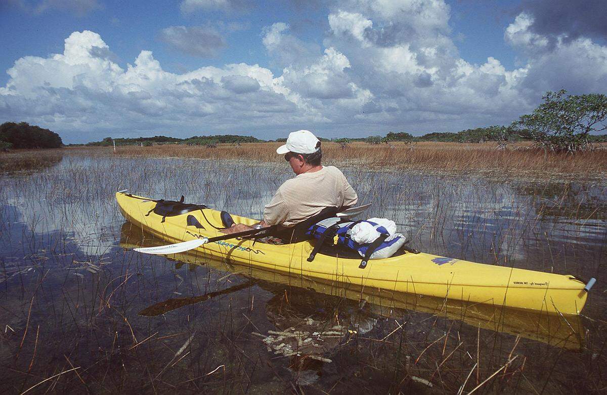 El parque nacional de los Everglades se puede disfrutar con paseos en botes o en kayak. Para llegar hasta los Everglades, se puede tomar el trolley en el dowtown de Homestead.