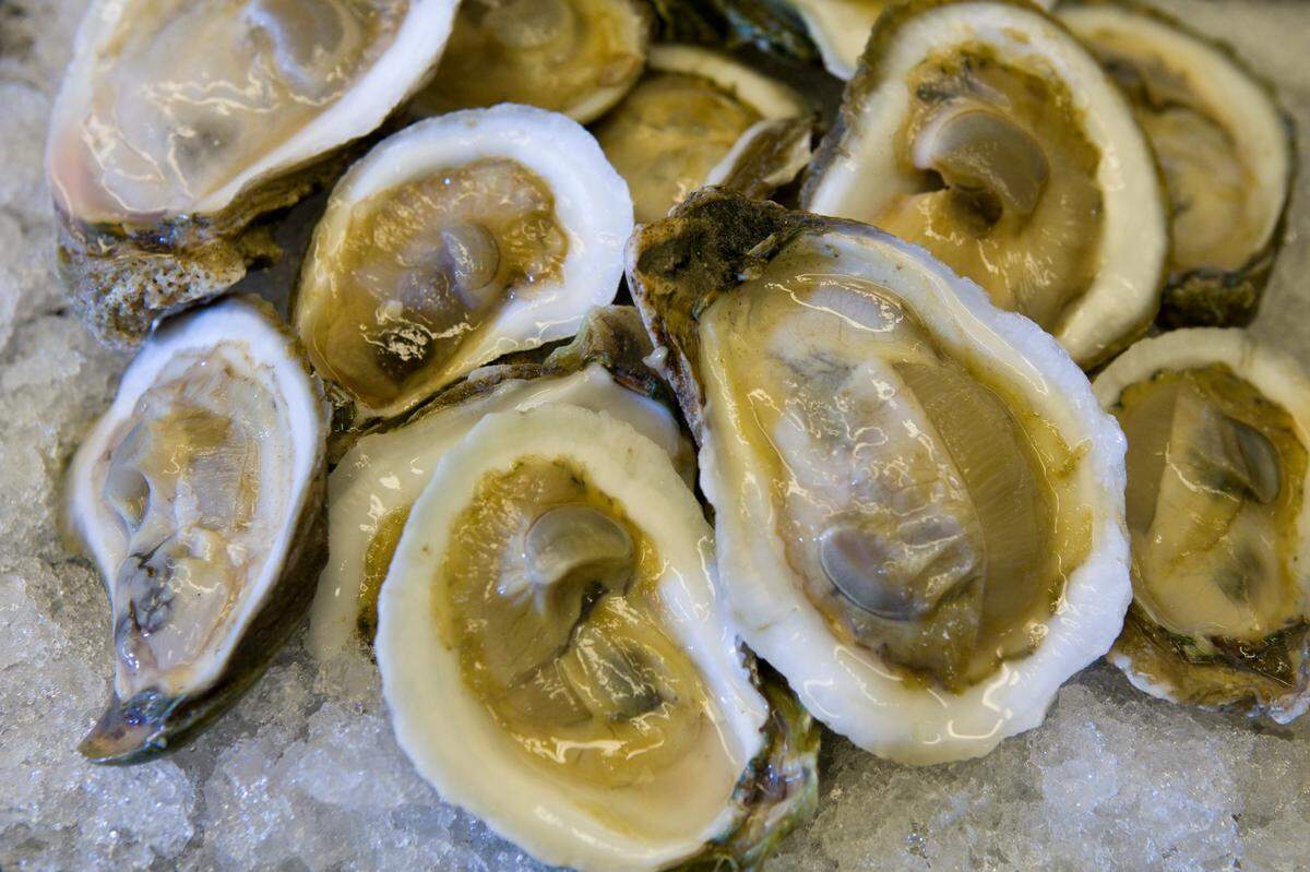 Raw oysters on ice. Oyster, shellfish, seafood, food safety. 2009 Annual Research Report photo by Tyler Jones.