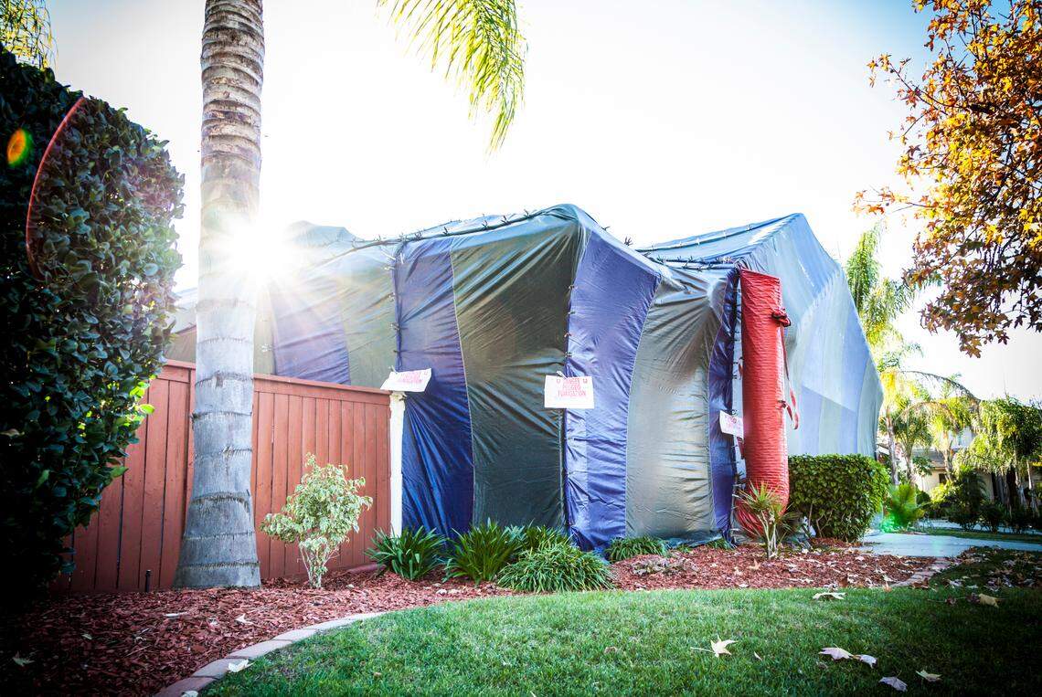 Fumigation for termites.