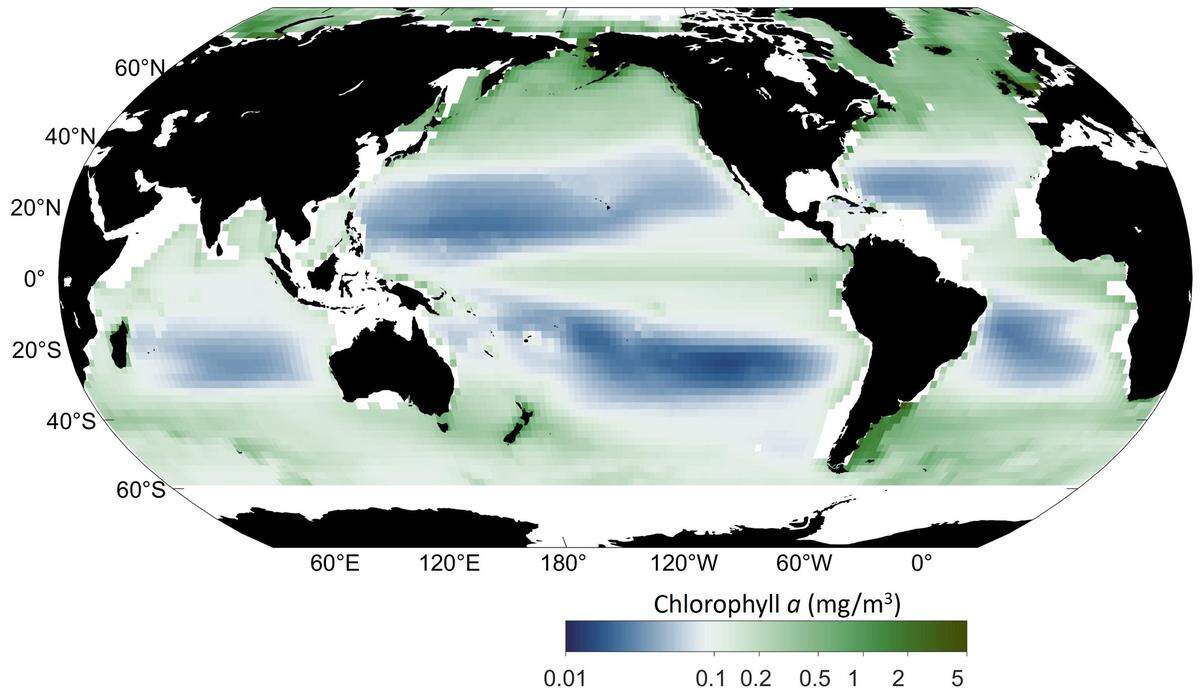 Un gráfico que muestra cómo han cambiado las concentraciones de clorofila en diferentes partes del globo, dando lugar a “azules más azules” cerca del ecuador y “verdes más verdes” cerca de los polos.