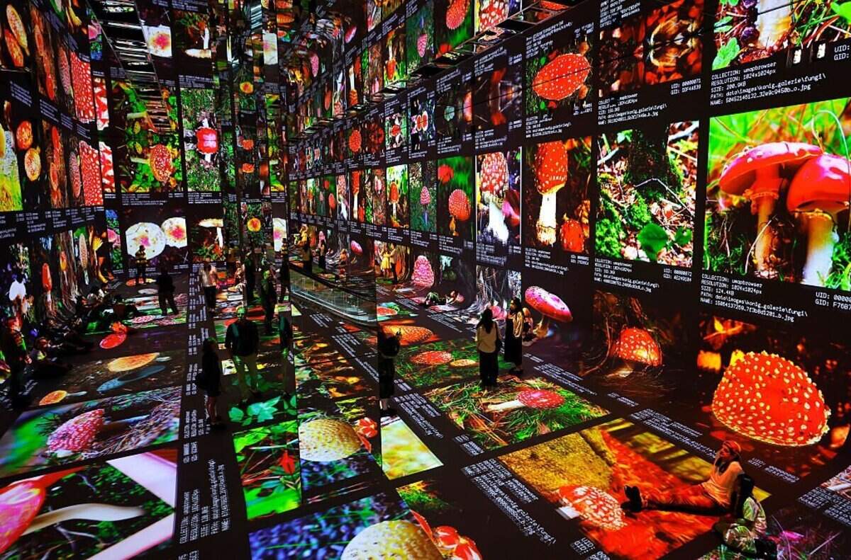 Los visitantes experimentan Dataland, el “primer Museo de Artes de IA del mundo”, en Los Ángeles, California. El museo muestra experiencias artísticas en evolución multisensorial de 360 grados que incorporan 1,500 millones de píxeles y está ubicado dentro del complejo Grand LA diseñado por Frank Gehry.