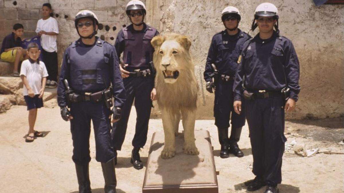 ‘El león de Caracas’ (The Lion of Caracas), 2002, de Javier Téllez. Foto fija. Video instalación con una sola pantalla. Proyección de video, sonido estereo, texto de pared. Definición estándar. Video, color, sonido, 4:3. NTSC. Duración: 7’ 50’’