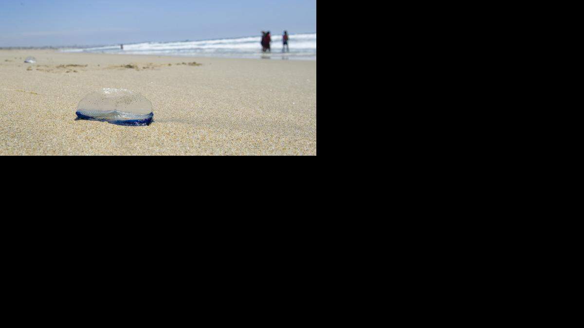 Archivo-AP