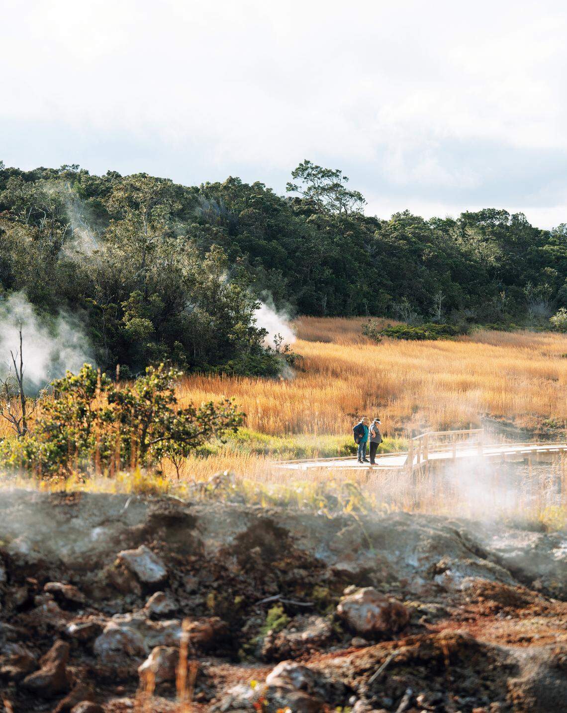 Quienes se alojan en la posada Volcano House, en el Volcanoes National Park de Hawái (EE.UU.)  aprecian durante sus paseos, distintos aspectos de la naturaleza volcánica. 