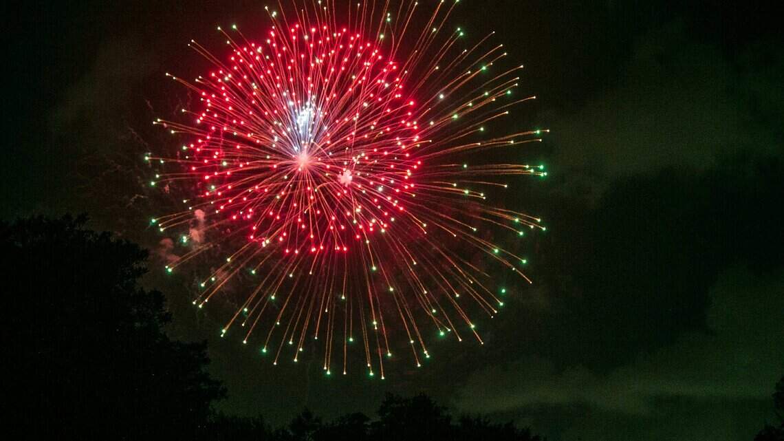 Usted disfruta los fuegos artificiales, sus mascotas no. Así puede protegerlas