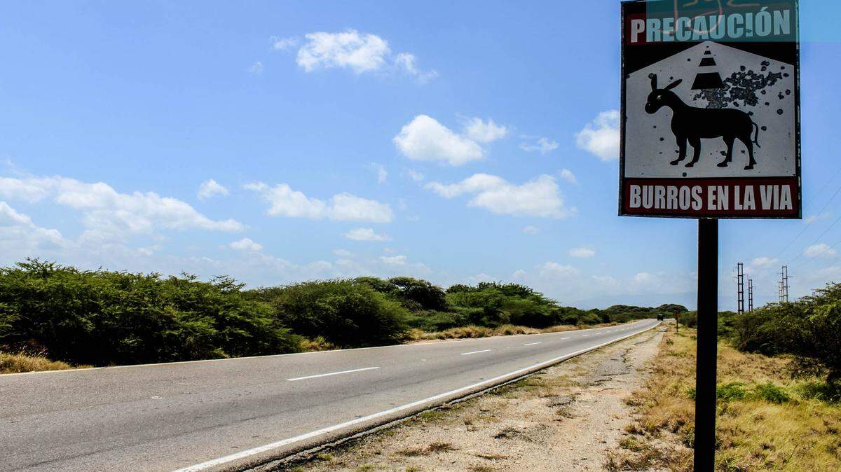 A road sign warns of possible burro crossings in the Venezuelan area of Paraguana. The burros are disappearing in the area as more and more hungry Venezuelans are slaughtering them for meals.