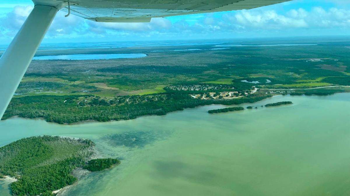 Tiburón muerde en la mano a un pescador en los Everglades el viernes por la mañana. El hombre tuvo que ser llevado a un hospital.