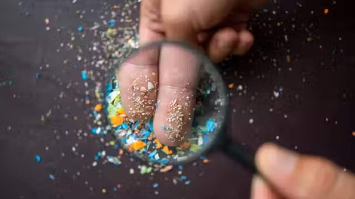 Research shows microplastics are widespread. Here’s how to reduce your exposure