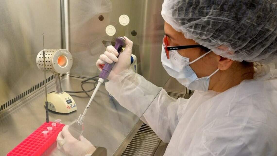 Científicos descubren los procesos que dañan el ADN en la mayoría de cánceres de próstata