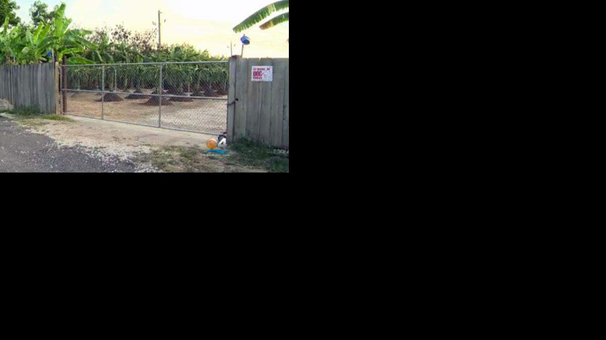 El hecho tuvo lugar hace casi tres semanas en una propiedad cerca de la calle 309 y la avenida 229 del suroeste, Cortesía CBS4