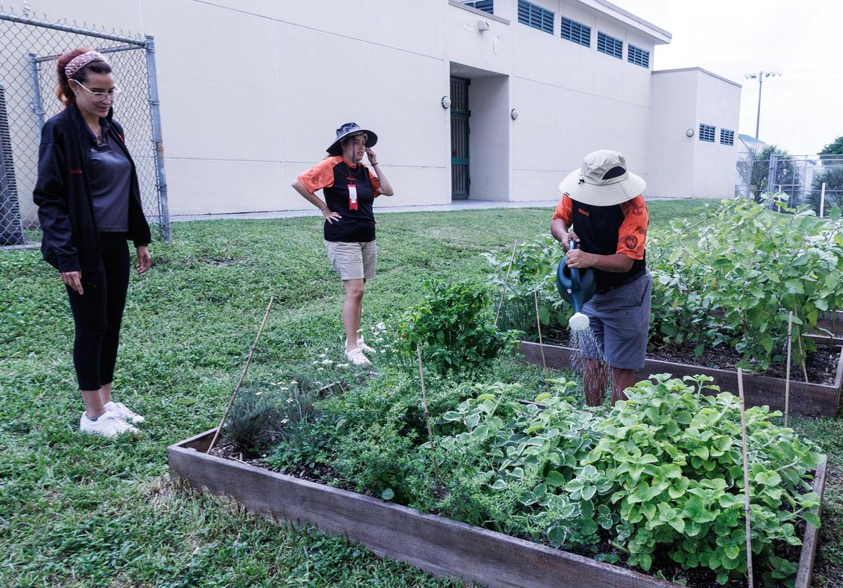 Génesis Torres, Directora del Programa de Población Especial de la Ciudad de Hialeah y la estudiante Claudia Pérez, observan mientras Maynor Palacios riegan algunas plantas en el jardín del Centro de Población Especial Edgar J. Hall, ubicado en Bucky Dent Park, en Hialeah el martes 26 de septiembre 2023