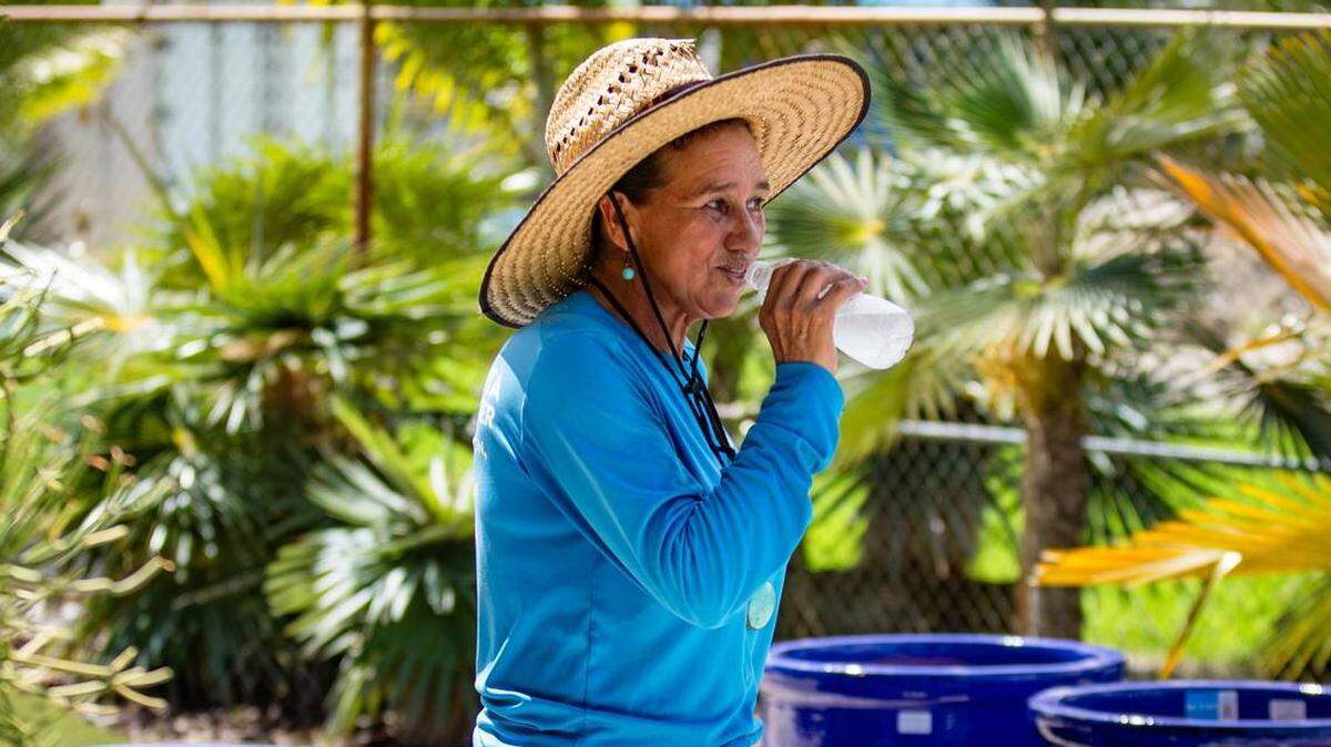 La trabajadora agrícola del Casaplanta Garden Center, Otty Bustos, toma una pausa el viernes, 5 de julio de 2024, en Kendale Lakes, Florida.