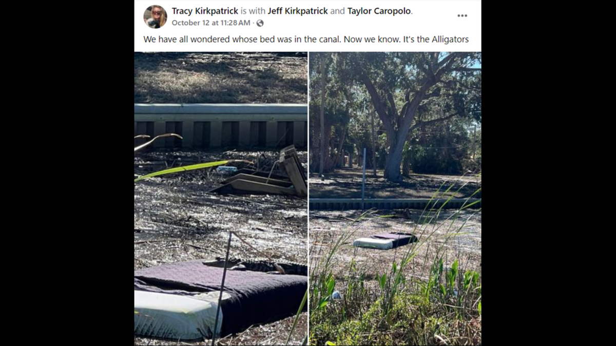 El sábado, 12 de octubre, Tracy Kirkpatrick colgó en Facebook fotos del caimán encima de un colchón.