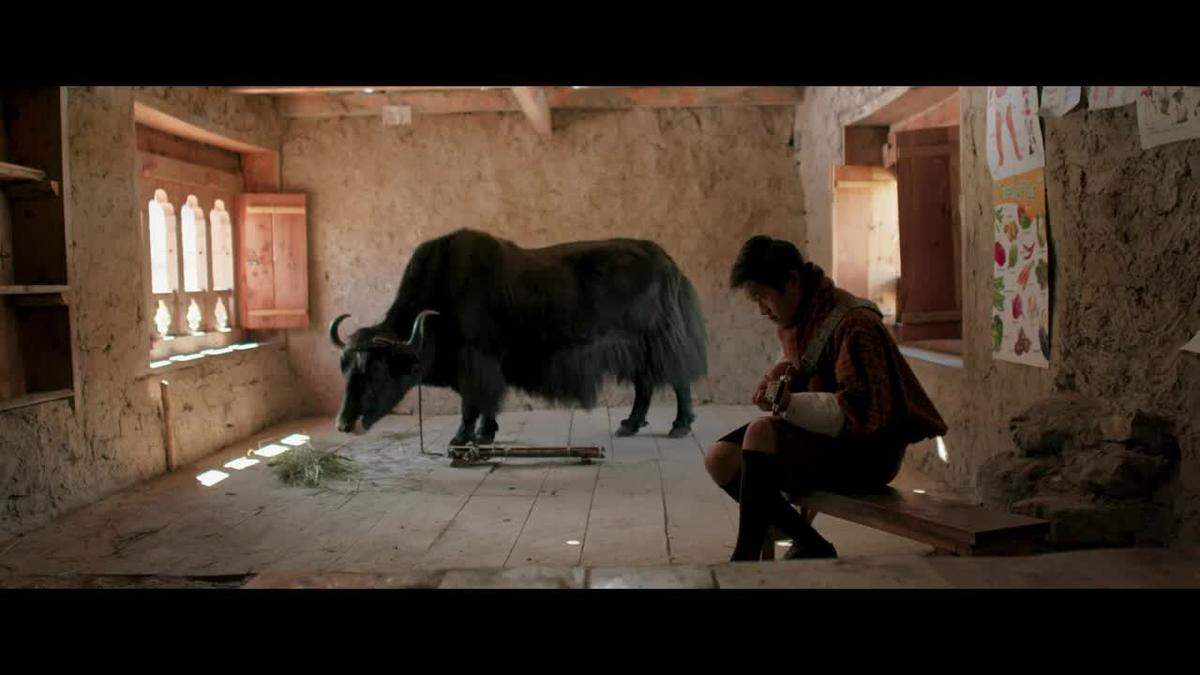 En el Coral Gables Art Cinema ‘Lunana: a Yak in the Classroom’ (2021) del realizador Pawo Choyning Dorji. Esta película se encuentra en la nómina de obras seleccionadas para los Oscar.