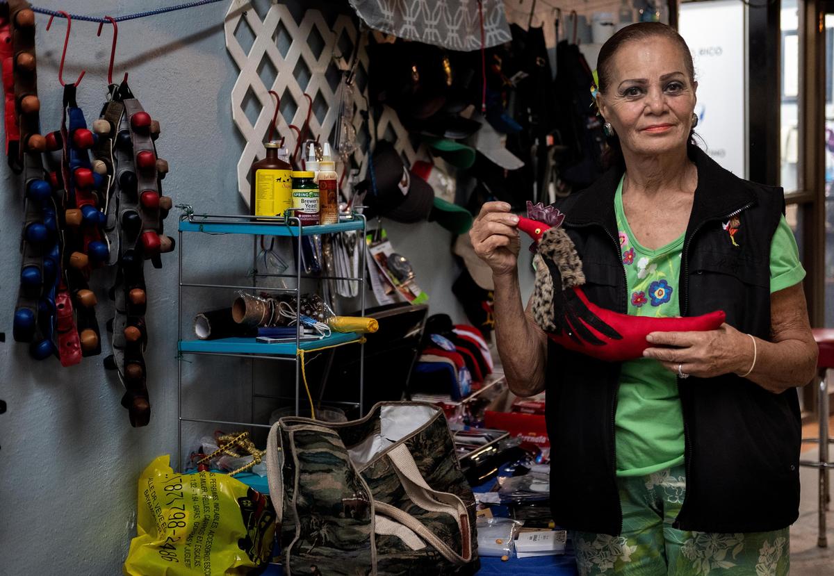 Laura Green ha dedicado los últimos 12 años de su vida haciendo cosas que solo necesitan los galleros: kits especiales, señuelos para entrenar a los gallos, vendajes especiales, que vende en la gallera principal de San Juan, Puerto Rico. Green teme que si ilegalizan las peleas de gallos, como está planeado, perderá no solo su sustento sino además su vida social.