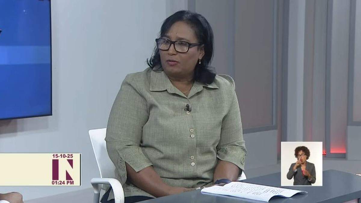 La viceministra del Ministerio de Salud Pública (Minsap), Carilda Peña, recomendó a cubanos la elaboración de “repelentes caseros” contra los mosquitos ante la escasez de recursos en la isla para enfrentar los virus trasmitidos por mosquitos.