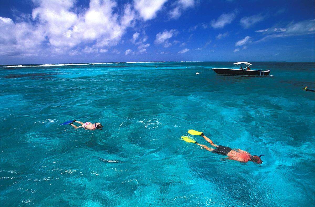 Bucear en Belice es un placer para los sentidos. La costa del país centroamericano está delimitada por la segunda barrera de coral más grande del planeta.