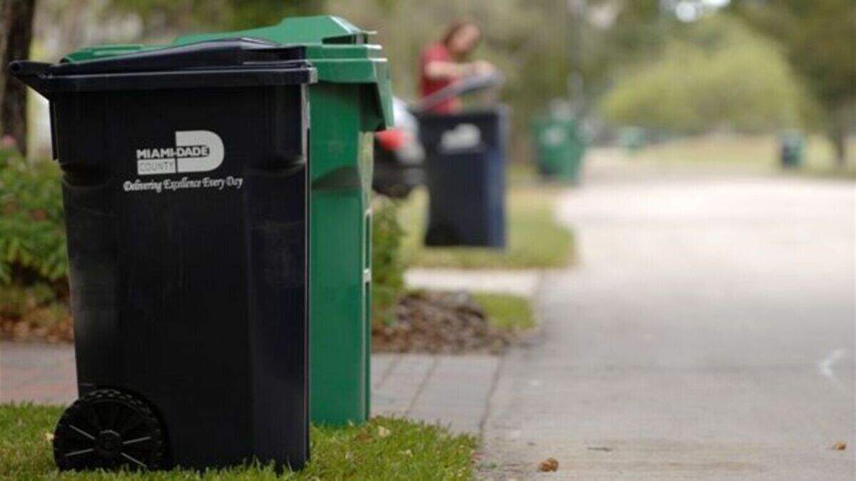 Tirar la basura en cualquier lugar que no sea su propio contenedor puede acarrear multas en la Florida.