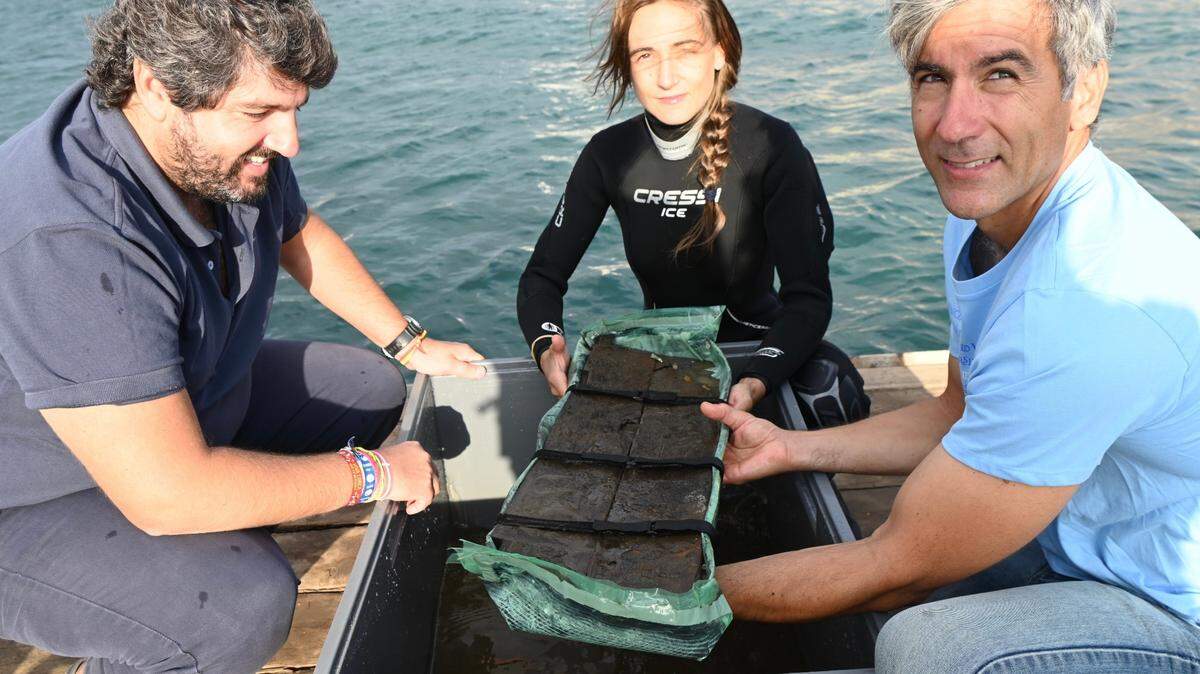 En la imagen, el presidente junto a Carlos de Juan, arqueólogo y director técnico de la extracción del Pecio Mazarrón; y junto a una buzo que ha participado en las labores de extracción.