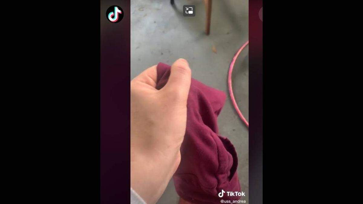 Una usuaria de TikTok en la Forida colgó un video que se volvió viral tras encontrar una lagartija viva en sus pantalones.