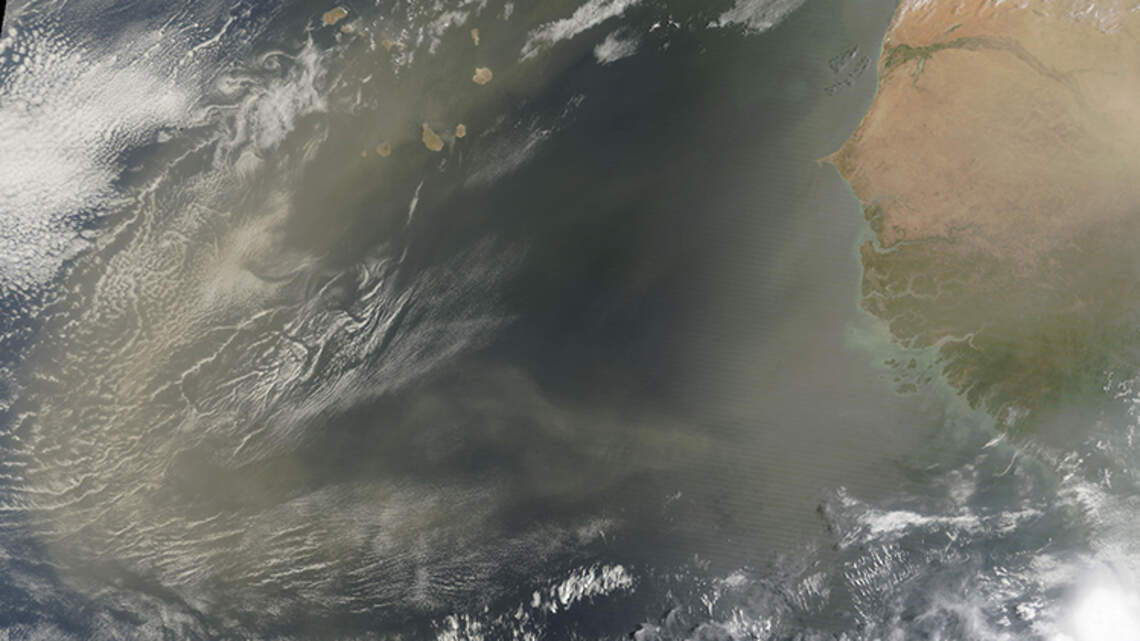 Enorme nube de polvo sahariano afectará a Florida. ¿Qué significa para la salud?