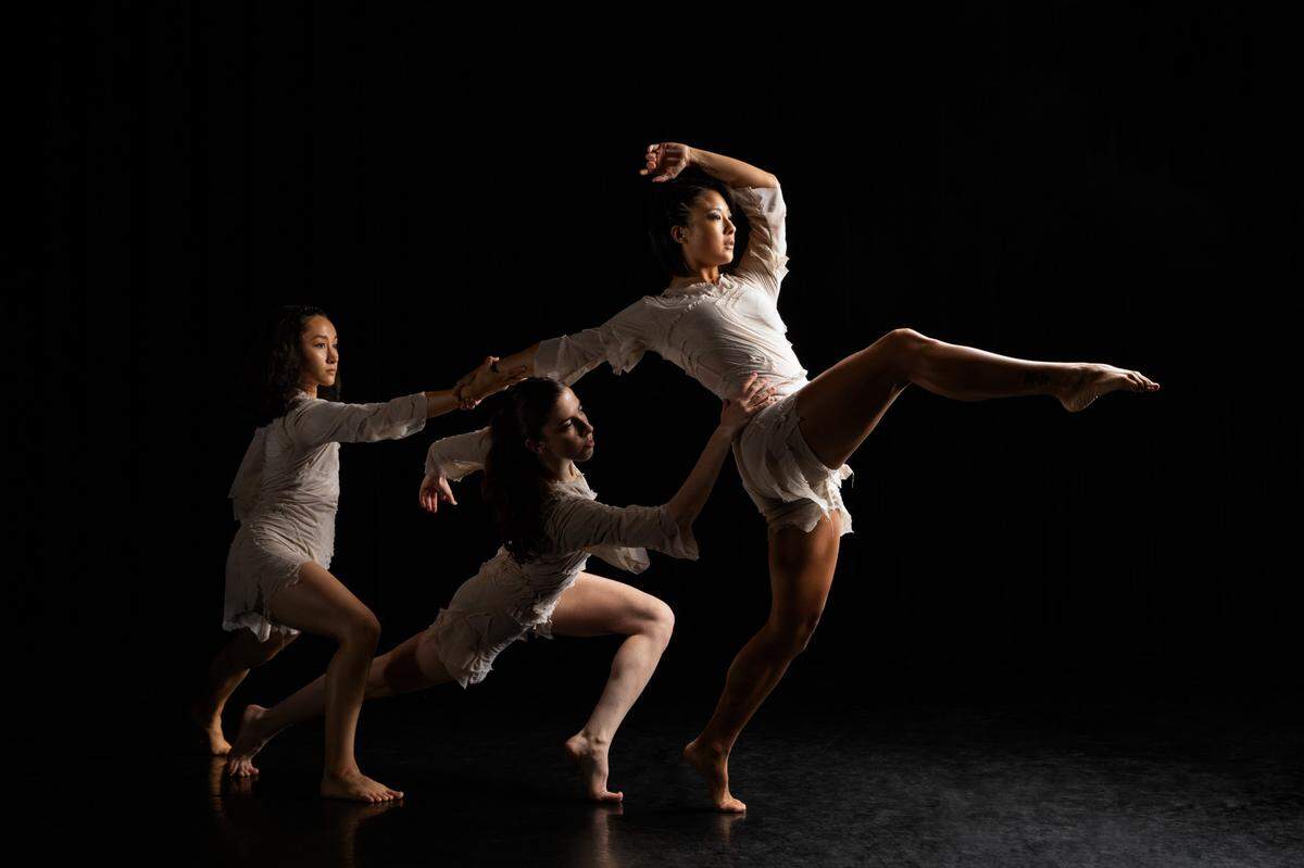 Miami Light Project presenta ScreenDance Miami Festival 2021, celebrado del 15 al 23 de enero.