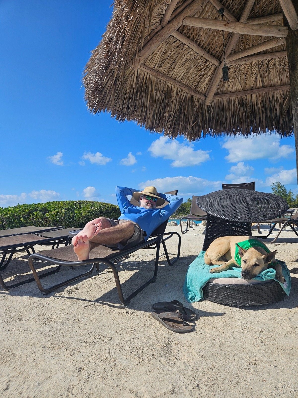 La playa privada es donde los huéspedes pueden disfrutar con sus canes.