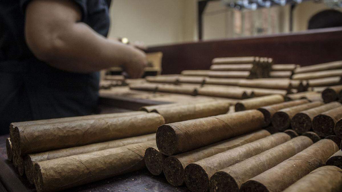 La ONG Prisoners Defenders ha denunciado que miles de presos en Cuba son obligados a hacer trabajo forzoso, en áreas como la producción de tabaco y habanos, algunos que son vendidos bajo la marca Cohiba. Foto de archivo de 2016 de una planta de producción de habanos Cohiba.