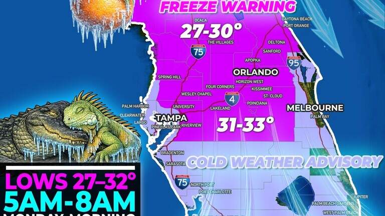 Caída de nieve sorprende de nuevo al norte de Florida