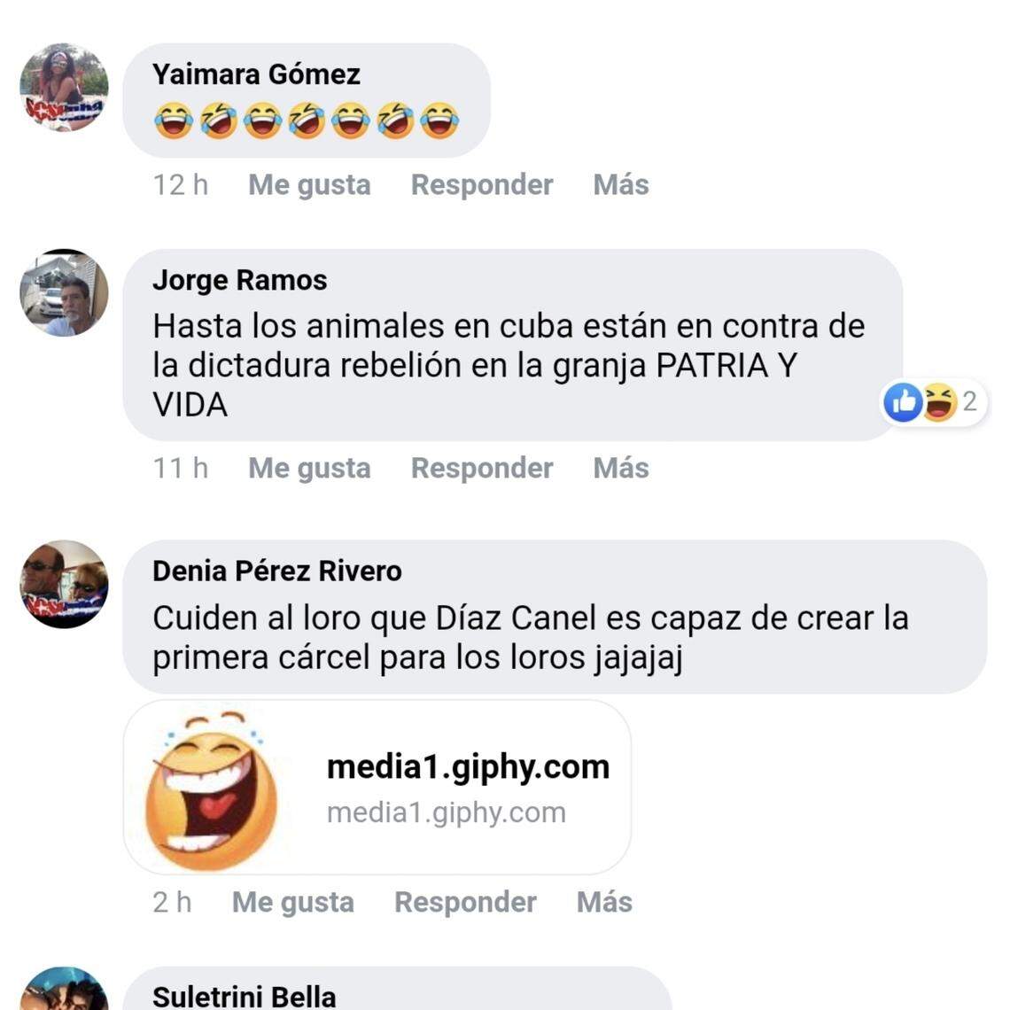 Comentarios de usuarios de Facebook