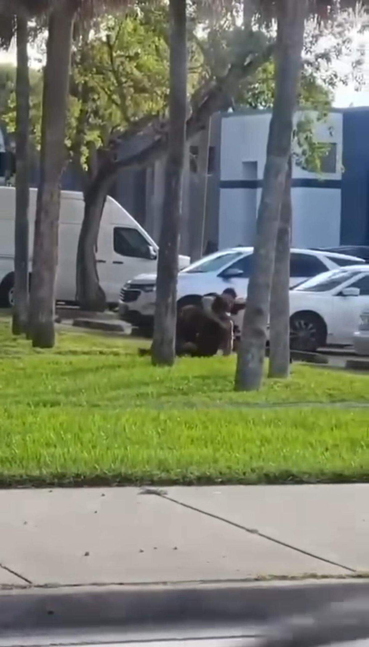 El agente Devin Jaramillo, de 27 años, atendía un accidente de tráfico cuando un hombre le disparó y lo mató la tarde del viernes, según informó la policía de Miami-Dade. Momentos antes de su muerte, un video muestra cómo forcejea con el agresor, cuya identidad se desconoce.