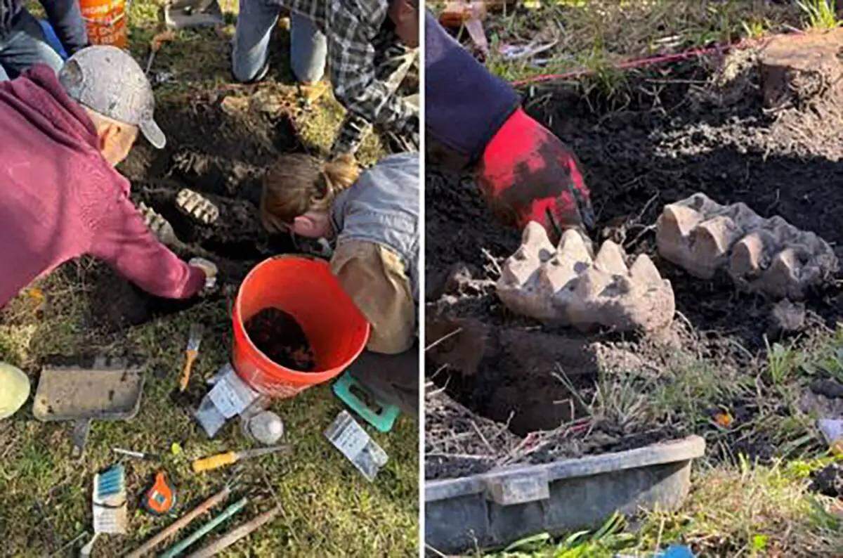 Un par de mandíbulas de mastodonte fueron descubiertas en la tierra cerca de Scotchtown, en el condado de Orange, Nueva York.El fósil fue encontrado cerca de Scotchtown, en el condado de Orange, Nueva York.NYSE.gov