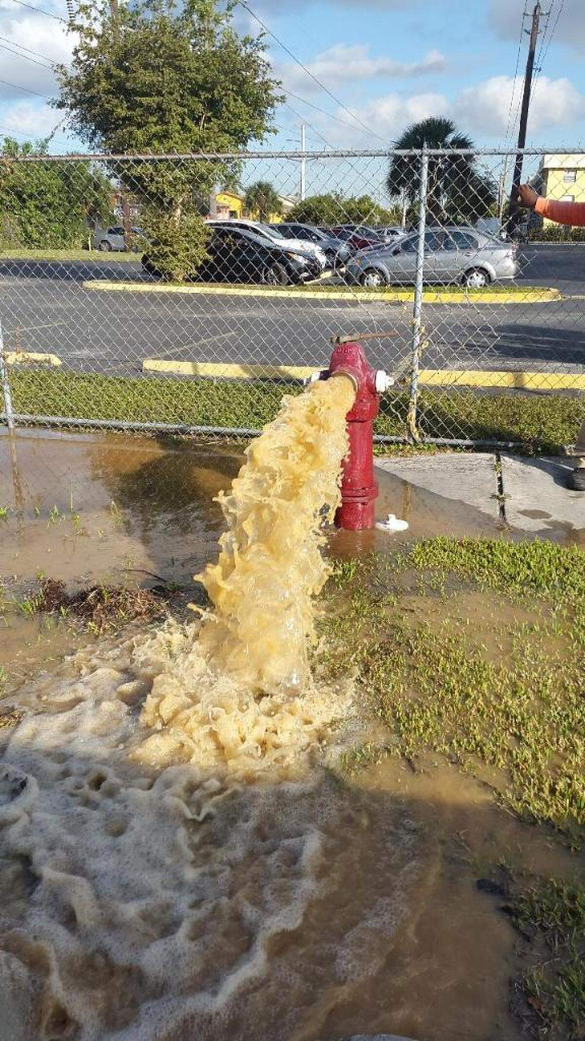 Drenaje de agua de hidrante en la ciudad de Hialeah